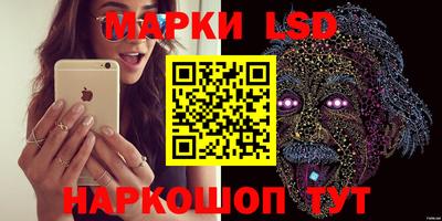 дмт Кимры