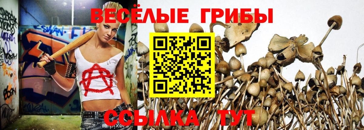 Лабинск  Галлюциногенные грибы Psilocybe  Вход с VPN  купить наркотики цена  Псилоцибиновые грибы мицелий 